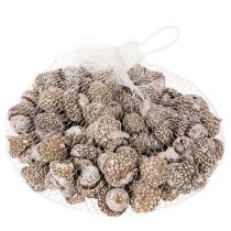 Itens Bolotas, produto natural para decoração, pintadas de branco, 1-3cm, 300g