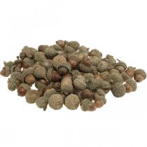 Bolotas para decorar, decorações de outono, frutas de outono claro Ø1,5 - 2,5cm L1,5 - 3cm 300g