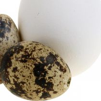 Mistura de ovos de decoração ovos de codorna e ovos de galinha Ovos de páscoa estourados