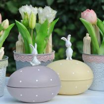 Coelhinho no ovo, ovo decorativo para rechear, Páscoa, caixa decorativa amarela, roxa A17/16cm L15cm conjunto de 2