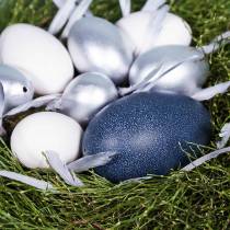 Itens Ovo natural de ema 12cm - 14cm 1p