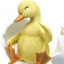 Itens Pintinho chocado, figura de pato, patinho no ovo A10cm L12,5cm
