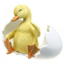 Itens Pintinho chocado, figura de pato, patinho no ovo A10cm L12,5cm