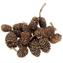 Itens Pinhas de amieiro, produto natural para decoração e artesanato, douradas, 3 cm, 300 g