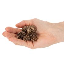 Itens Pinhas de amieiro, produto natural para decoração e artesanato, douradas, 3 cm, 300 g