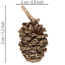 Itens Pinhas de amieiro, produto natural para decoração e artesanato, douradas, 3 cm, 300 g