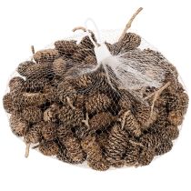 Itens Pinhas de amieiro, produto natural para decoração e artesanato, douradas, 3 cm, 300 g