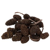 Itens Pinhas de amieiro naturais, soltas, para decoração, 3cm, 300g, marrom natural.