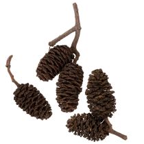 Itens Pinhas de amieiro naturais, soltas, para decoração, 3cm, 300g, marrom natural.