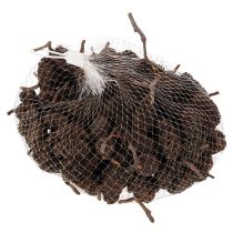 Itens Pinhas de amieiro naturais, soltas, para decoração, 3cm, 300g, marrom natural.