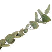 Itens Ramos e folhas decorativas de eucalipto preservados, formato redondo e seco, cor verde, 150g