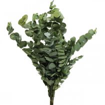 Ramos Conservados De Eucalipto Folhas Verde Redondo 150g