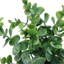 Eucalipto artificial ramos de eucalipto plantas artificiais 38cm 3 unidades