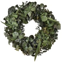 Itens Coroa de eucalipto coroa natural eucalipto conservado Ø35cm