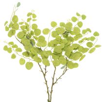 Itens Ramo decorativo de eucalipto, ideal para decoração de mesa, 120 cm
