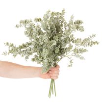 Itens Ramo artificial de eucalipto, ramo decorativo para vasos e arranjos florais, 49 cm, conjunto com 4 peças.