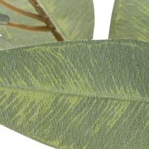 Itens Ramo artificial de eucalipto, verde natural, decorativo, 100 cm