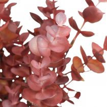 Itens Decoração de outono ramo de eucalipto eucalipto artificial vermelho 36cm