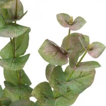 Ramo artificial de eucalipto Deco planta verde verde, rosa 75cm
