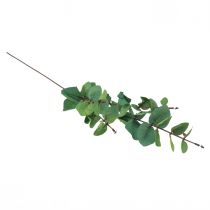 Itens Ramo de eucalipto artificial eucalipto verde 64cm