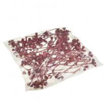 Itens Ramos de eucalipto vermelho fosco decoração natural exótico 25 peças