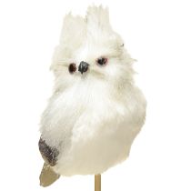 Itens Coruja em palito branco 9cm L48cm