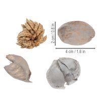 Itens Decoração de mesa com potpourri e nozes para uma atmosfera natural de verão.