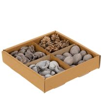 Itens Decoração de mesa com potpourri e nozes para uma atmosfera natural de verão.