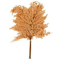 Itens Samambaia Preservada Laranja Decorativa 45cm 10 Peças Decoração para Casa Faça Você Mesmo