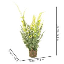 Itens Samambaia artificial com torrão de raízes para decoração de casa e escritório, 57 cm