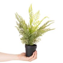 Itens Samambaia artificial em vaso para decoração de interiores, 40 cm