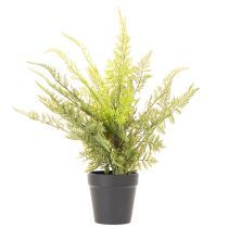 Itens Samambaia artificial em vaso para decoração de interiores, 40 cm