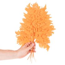 Itens Folhas de samambaia secas e preservadas para arranjos florais e decoração de outono, 42 cm, 10 peças