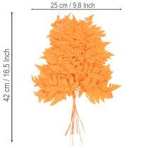 Itens Folhas de samambaia secas e preservadas para arranjos florais e decoração de outono, 42 cm, 10 peças