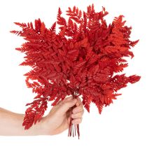 Itens Folhas de samambaia preservadas e tingidas, samambaia verdadeira para arranjos de outono, 42 cm, 10 peças