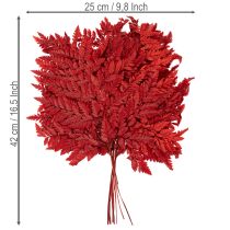 Itens Folhas de samambaia preservadas e tingidas, samambaia verdadeira para arranjos de outono, 42 cm, 10 peças