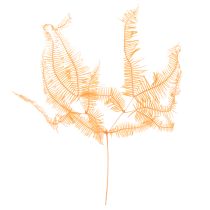Itens Ramo de samambaia, samambaia preservada, decoração seca para arranjos, 60 cm, 10 peças