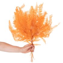 Itens Ramo de samambaia, samambaia preservada, decoração seca para arranjos, 60 cm, 10 peças