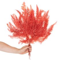 Itens Samambaias, flores secas preservadas, decoração de outono, 60 cm, 10 peças