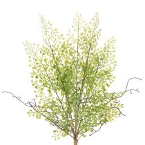 Itens Ramo artificial de ruscus verde para decoração floral, 41 cm