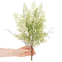 Itens Ramo artificial de ruscus verde para decoração floral, 41 cm