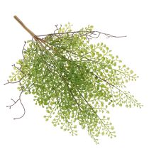 Itens Ramo artificial de ruscus verde para decoração floral, 41 cm