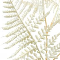 Samambaia de folha decorativa, planta artificial, ramo de samambaia, folha de samambaia decorativa branca L59cm