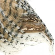 Itens Coruja da floresta, decoração de outono, coruja decorativa, Halloween H16cm