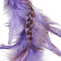 Itens Grinalda de penas de faisão roxo guirlanda decorativa Ø20cm 3 un