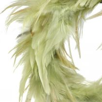 Coroa de penas decorativas verde Ø16cm coroa de penas reais decoração de primavera