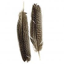 Penas natureza 16cm - 20cm 8g