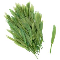 Itens Penas decorativas para um ambiente elegante e decorações impressionantes. 10 cm