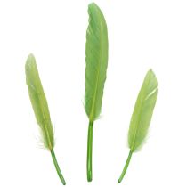 Itens Penas decorativas para um ambiente elegante e decorações impressionantes. 10 cm
