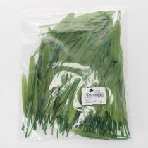 Itens Penas decorativas para um ambiente elegante e decorações impressionantes. 10 cm